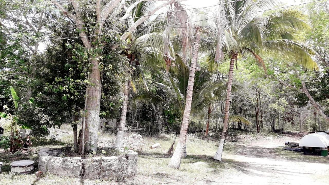 Hotel Templo Maya Шпухіль Екстер'єр фото